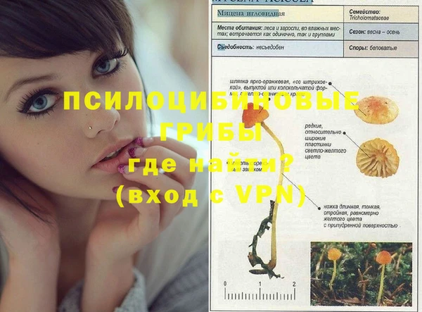 дурь Балахна