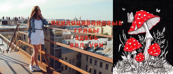 дурь Балахна