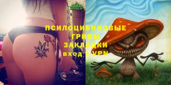 дурь Балахна