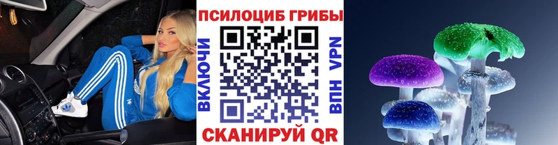Галлюциногенные грибы ЛСД  продажа наркотиков  hydra сайт  Нижний Ломов 