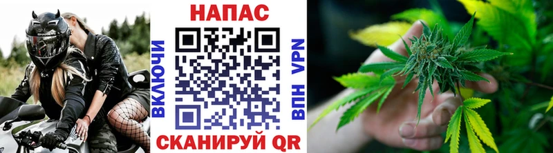Бошки Шишки план  Нижний Ломов 